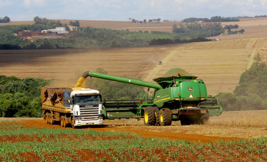 Safra de verão no Paraná pode chegar a 25,61 milhões de toneladas.