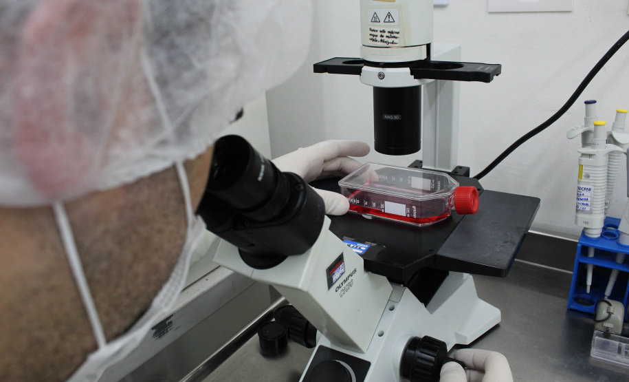 O Instituto de Tecnologia do Paraná (Tecpar), o Centro de Produção e Pesquisa de Imunobiológicos (CPPI) e a Fundação Estatal de Atenção em Saúde do Estado do Paraná (Funeas) buscam oportunidades de atuação em conjunto em projetos de Pesquisa e Desenvolvimento (P&D), de forma a trazer, de maneira mais eficiente, novas soluções para a área da saúde para o Paraná.- Curitiba, 11/11/2021 - Foto: Tecpar