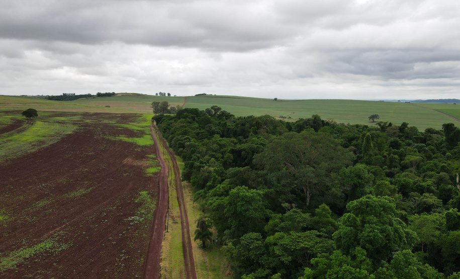 RPPN São Sebastião - Jacarezinho/PR - Foto: IAT