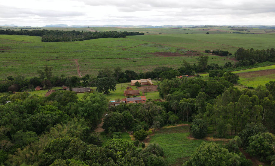 RPPN São Sebastião - Jacarezinho/PR - Foto: IAT