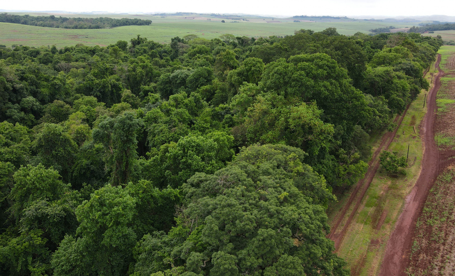 RPPN São Sebastião - Jacarezinho/PR - Foto: IAT