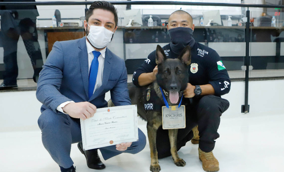 A Polícia Civil do Paraná (PCPR) recebeu homenagem inédita à atuação de um dos cães e seu condutor, em Maringá, região Norte do Estado, na terça-feira (9). É a primeira vez que um dos cachorros policiais da instituição é homenageado individualmente. O título do mérito comunitário foi concedido pela Câmara de Vereadores de Maringá ao cão Chris Cornell e ao investigador Marcos Shinnae.  - Maringá, 09/11/2021 - Foto: PCPR