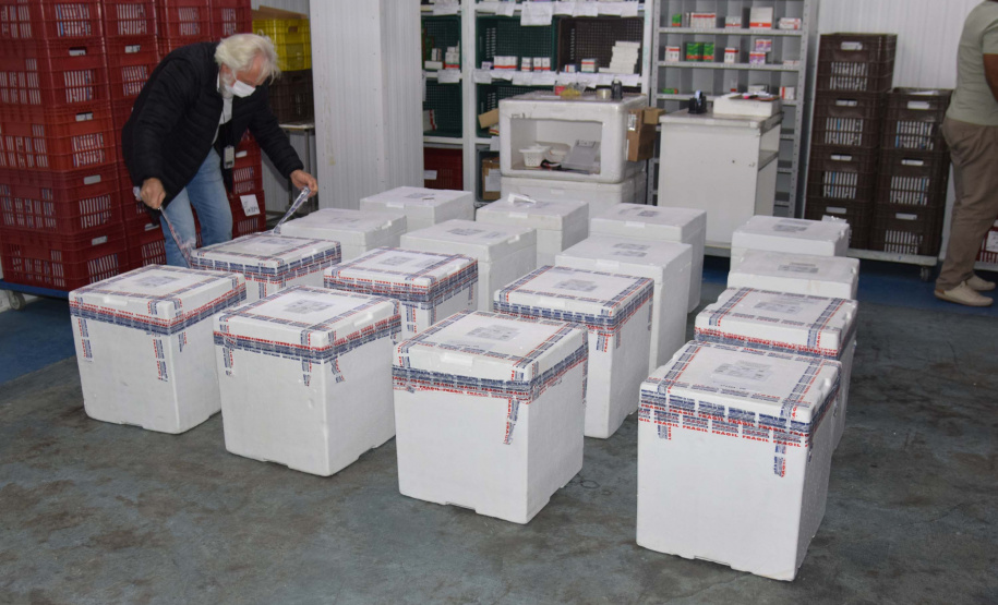 170.820 vacinas contra a Covid-19 que chegaram ao Paraná são para adolescentes . Foto: Américo Antonio/SESA