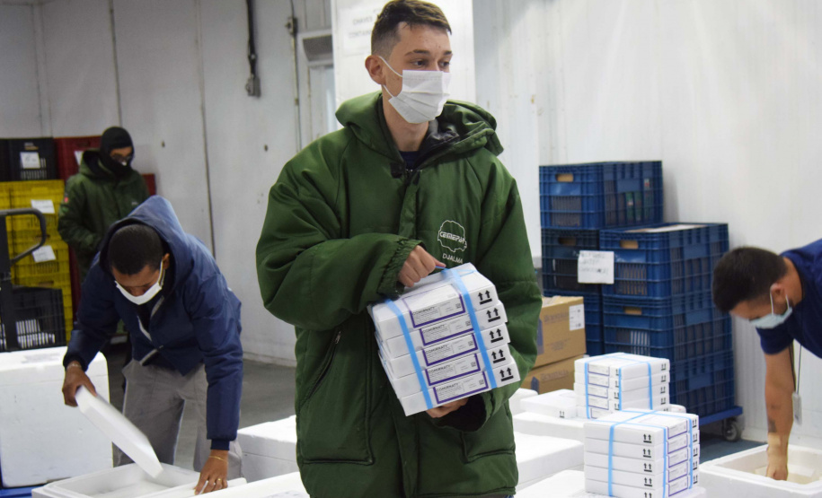 170.820 vacinas contra a Covid-19 que chegaram ao Paraná são para adolescentes . Foto: Américo Antonio/SESA