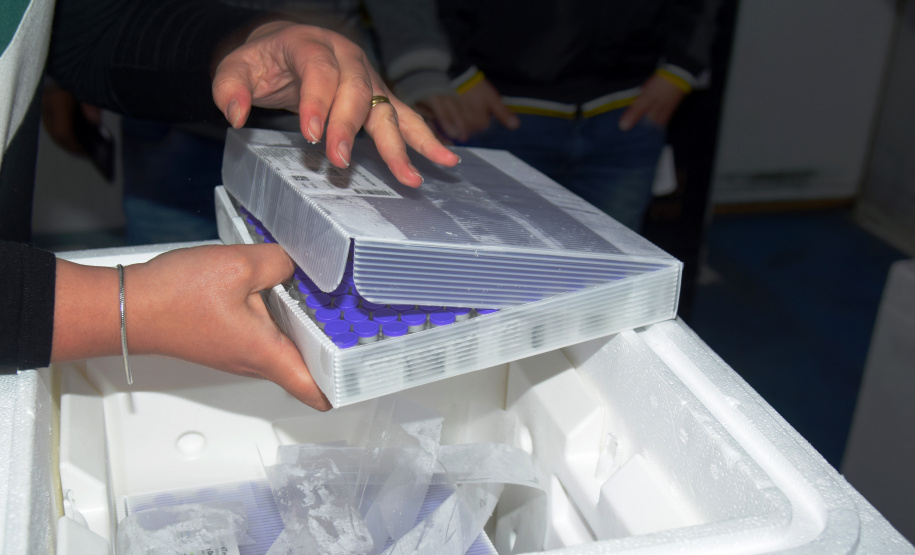 Mais 170 mil vacinas da Pfizer contra a Covid-19 devem chegar ao Paraná nesta terça