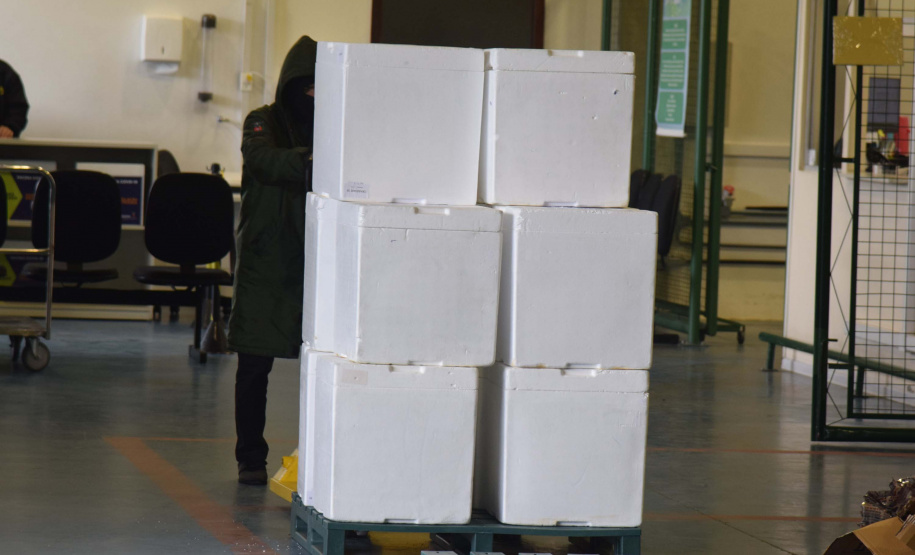 Mais 67,8 mil vacinas contra a Covid-19 chegaram ao Paraná nesta terça-feira. Foto: Américo Antonio/SESA