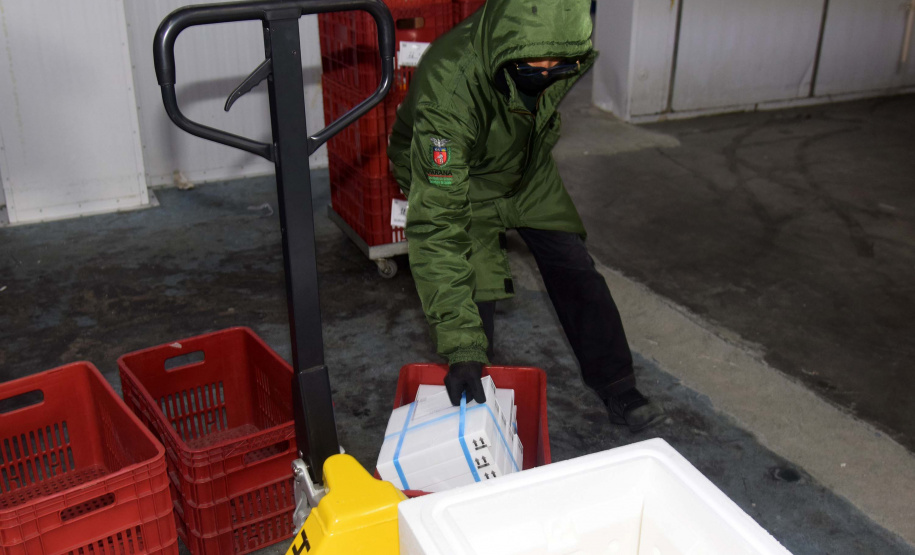 Mais 67,8 mil vacinas contra a Covid-19 chegaram ao Paraná nesta terça-feira. Foto: Américo Antonio/SESA