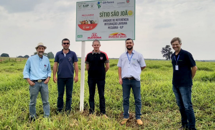 Até pouco tempo atrás o produtor Lairton Berti Garcia, de Moreira Sales, enfrentava sérias dificuldades para manter seu rebanho alimentado durante o inverno. Com pasto nativo e solo arenoso, a oferta de alimento para os animais sempre foi pequena nesse período. Foto: IDR