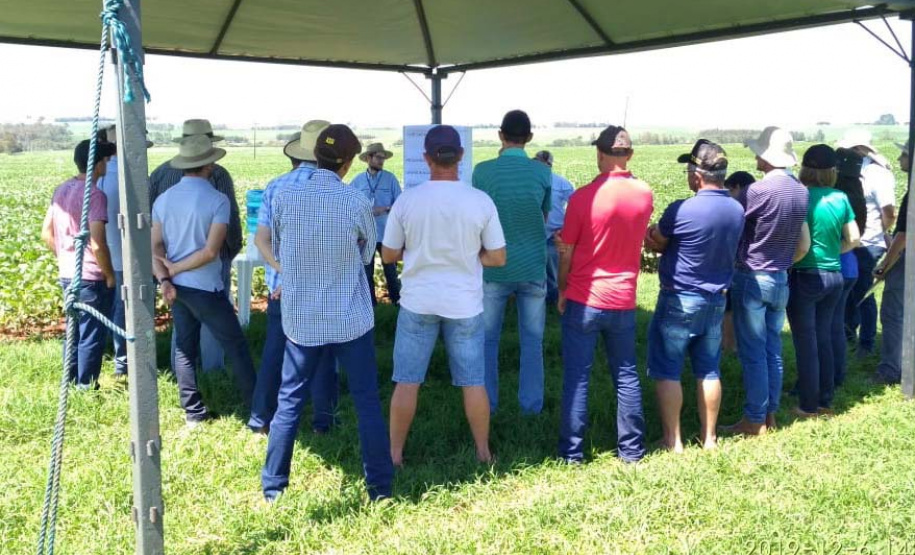 Organizado pelo IDR-Paraná (Instituto de Desenvolvimento Rural do Paraná-Iapar-Emater) e Embrapa Soja o Giro Técnico da Soja-Safra 2021/2022 tem início na próxima segunda-feira, dia 29 e será realizado em 16 municípios do Paraná. O objetivo é promover uma discussão entre extensionistas, pesquisadores e produtores sobre os resultados das boas práticas agrícolas e como essas tecnologias podem ser adotadas na propriedade.  - Curitiba, 25/11/2021 - Foto: IDR-PARANÁ