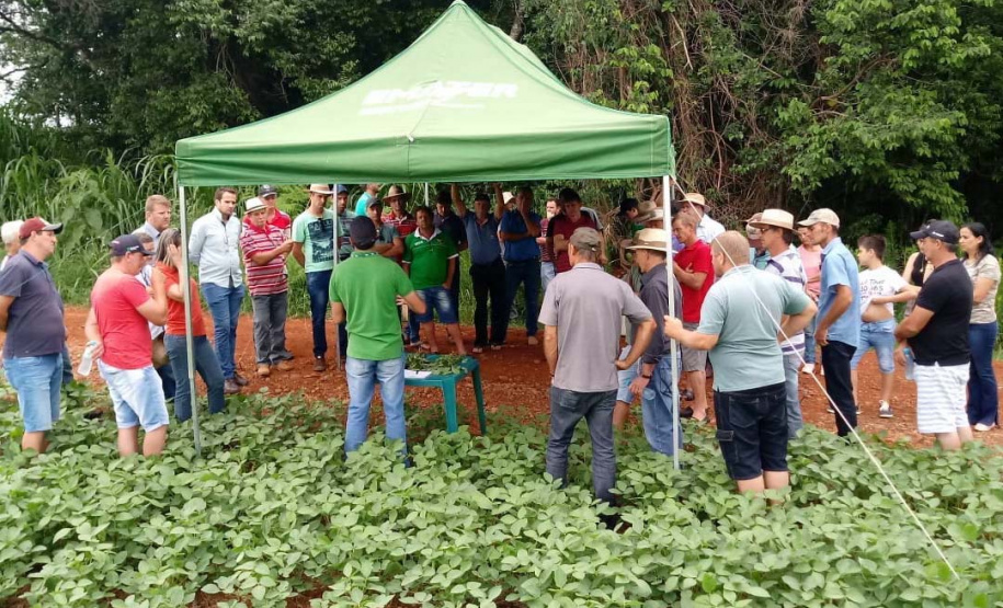 Organizado pelo IDR-Paraná (Instituto de Desenvolvimento Rural do Paraná-Iapar-Emater) e Embrapa Soja o Giro Técnico da Soja-Safra 2021/2022 tem início na próxima segunda-feira, dia 29 e será realizado em 16 municípios do Paraná. O objetivo é promover uma discussão entre extensionistas, pesquisadores e produtores sobre os resultados das boas práticas agrícolas e como essas tecnologias podem ser adotadas na propriedade.  - Curitiba, 25/11/2021 - Foto: IDR-PARANÁ