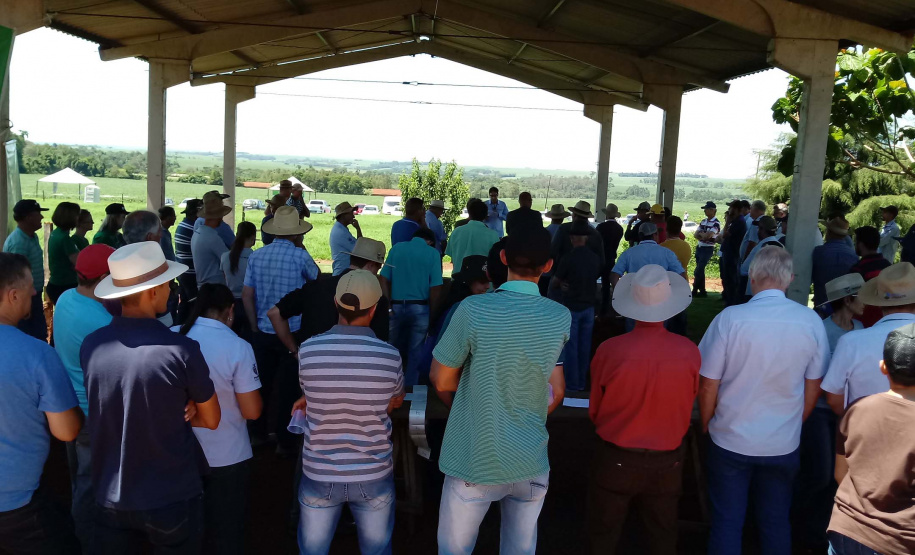 Organizado pelo IDR-Paraná (Instituto de Desenvolvimento Rural do Paraná-Iapar-Emater) e Embrapa Soja o Giro Técnico da Soja-Safra 2021/2022 tem início na próxima segunda-feira, dia 29 e será realizado em 16 municípios do Paraná. O objetivo é promover uma discussão entre extensionistas, pesquisadores e produtores sobre os resultados das boas práticas agrícolas e como essas tecnologias podem ser adotadas na propriedade.  - Curitiba, 25/11/2021 - Foto: IDR-PARANÁ