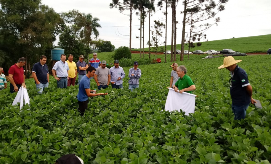 Organizado pelo IDR-Paraná (Instituto de Desenvolvimento Rural do Paraná-Iapar-Emater) e Embrapa Soja o Giro Técnico da Soja-Safra 2021/2022 tem início na próxima segunda-feira, dia 29 e será realizado em 16 municípios do Paraná. O objetivo é promover uma discussão entre extensionistas, pesquisadores e produtores sobre os resultados das boas práticas agrícolas e como essas tecnologias podem ser adotadas na propriedade.  - Curitiba, 25/11/2021 - Foto: IDR-PARANÁ