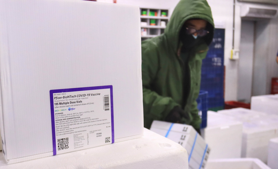 Paraná recebe 278 mil vacinas para D2, adolescentes e municípios de fronteira