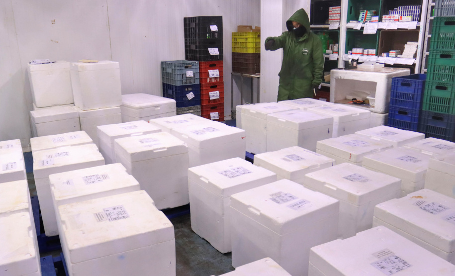 Paraná recebe 278 mil vacinas para D2, adolescentes e municípios de fronteira