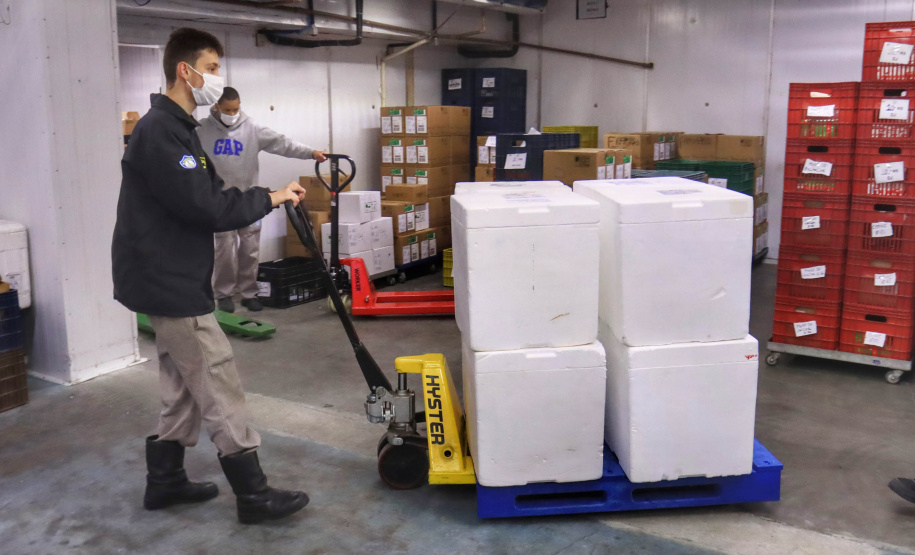 Paraná recebe 278 mil vacinas para D2, adolescentes e municípios de fronteira