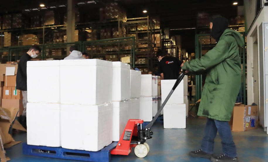 Paraná recebe 278 mil vacinas para D2, adolescentes e municípios de fronteira