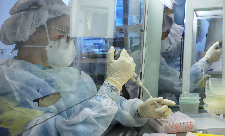 Aberta inscrição para mestrado e doutorado em Genética e Melhoramento - Foto: José Fernando Ogura/AEN