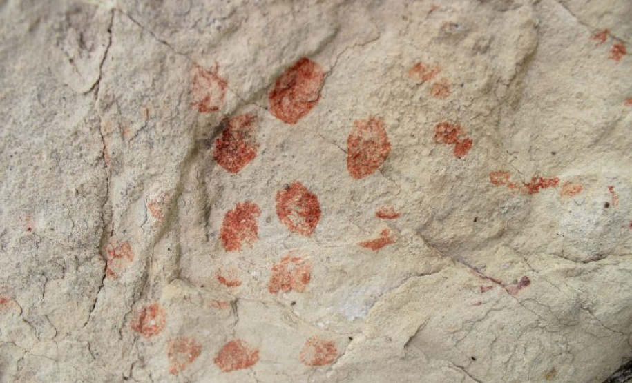 Projeto da UEPG realiza inventário de sítios arqueológicos com pinturas rupestres nos Campos Gerais