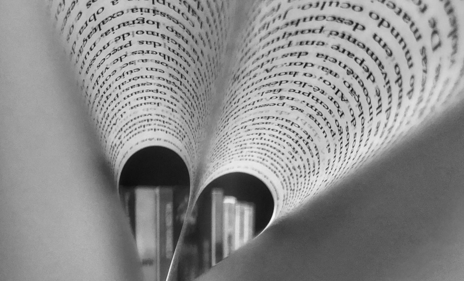 Em evento virtual, Editora da Universidade Estadual de Maringá lança 32 novas obras