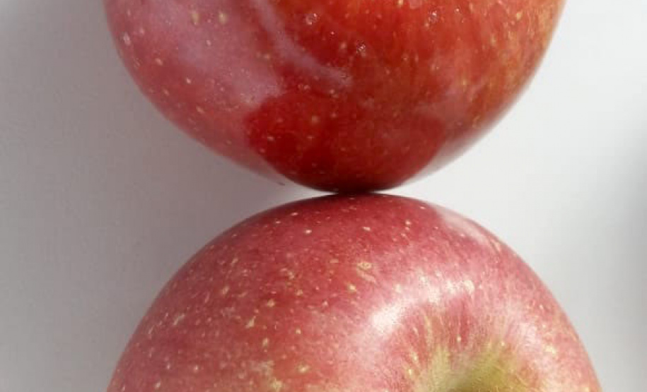 EDUCAÇÃO ESTUDANTE DE TOLEDO FINALISTAS PRÊMIO RESPOSTAS PARA O AMANHÃ