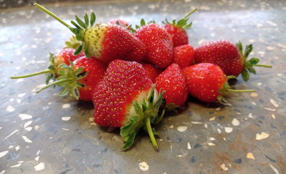 EDUCAÇÃO ESTUDANTE DE TOLEDO FINALISTAS PRÊMIO RESPOSTAS PARA O AMANHÃ