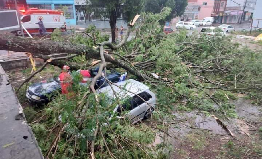 A semana começou com muito trabalho para mais de 200 técnicos e eletricistas que estão atuando na recomposição da rede de energia nas regiões Oeste e Sudoeste após o temporal da tarde do último domingo (28). A região tem sofrido com eventos climáticos severos frequentes, como o de ontem que veio com pancadas de chuva intensas e ventos que passaram de 90 km/hora. Os municípios mais afetados foram Foz do Iguaçu, Toledo, Francisco Beltrão, Pato Branco (foto), e os do entorno de Pato Branco. - Curitiba, 29/11/2