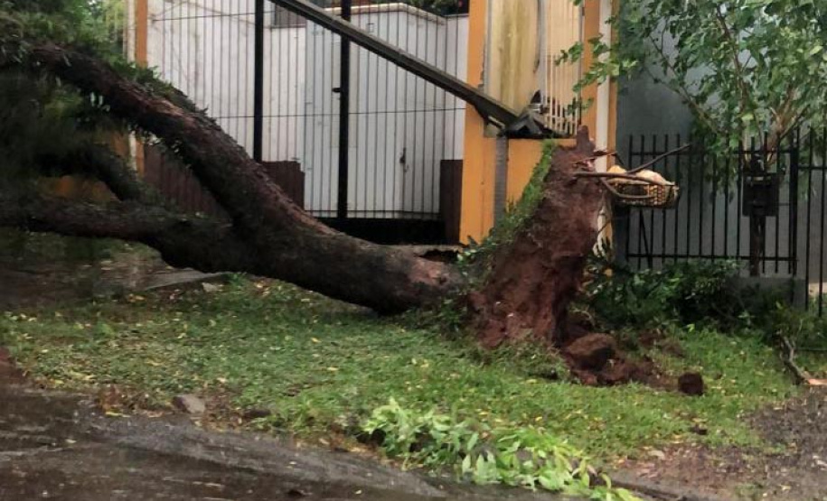 A semana começou com muito trabalho para mais de 200 técnicos e eletricistas que estão atuando na recomposição da rede de energia nas regiões Oeste e Sudoeste após o temporal da tarde do último domingo (28). A região tem sofrido com eventos climáticos severos frequentes, como o de ontem que veio com pancadas de chuva intensas e ventos que passaram de 90 km/hora. Os municípios mais afetados foram Foz do Iguaçu, Toledo, Francisco Beltrão, Pato Branco (foto), e os do entorno de Pato Branco. - Curitiba, 29/11/2
