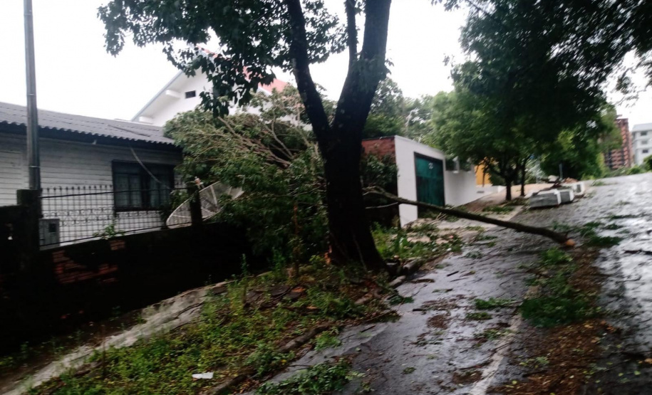 A semana começou com muito trabalho para mais de 200 técnicos e eletricistas que estão atuando na recomposição da rede de energia nas regiões Oeste e Sudoeste após o temporal da tarde do último domingo (28). A região tem sofrido com eventos climáticos severos frequentes, como o de ontem que veio com pancadas de chuva intensas e ventos que passaram de 90 km/hora. Os municípios mais afetados foram Foz do Iguaçu, Toledo, Francisco Beltrão, Pato Branco (foto), e os do entorno de Pato Branco. - Curitiba, 29/11/2