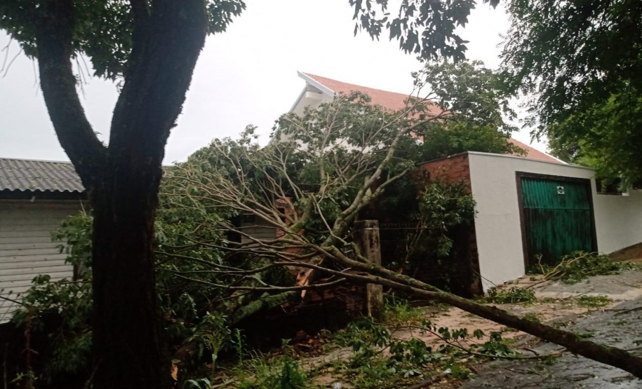 A semana começou com muito trabalho para mais de 200 técnicos e eletricistas que estão atuando na recomposição da rede de energia nas regiões Oeste e Sudoeste após o temporal da tarde do último domingo (28). A região tem sofrido com eventos climáticos severos frequentes, como o de ontem que veio com pancadas de chuva intensas e ventos que passaram de 90 km/hora. Os municípios mais afetados foram Foz do Iguaçu, Toledo, Francisco Beltrão, Pato Branco (foto), e os do entorno de Pato Branco. - Curitiba, 29/11/2