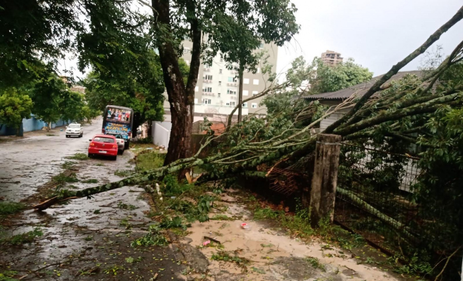 A semana começou com muito trabalho para mais de 200 técnicos e eletricistas que estão atuando na recomposição da rede de energia nas regiões Oeste e Sudoeste após o temporal da tarde do último domingo (28). A região tem sofrido com eventos climáticos severos frequentes, como o de ontem que veio com pancadas de chuva intensas e ventos que passaram de 90 km/hora. Os municípios mais afetados foram Foz do Iguaçu, Toledo, Francisco Beltrão, Pato Branco (foto), e os do entorno de Pato Branco. - Curitiba, 29/11/2