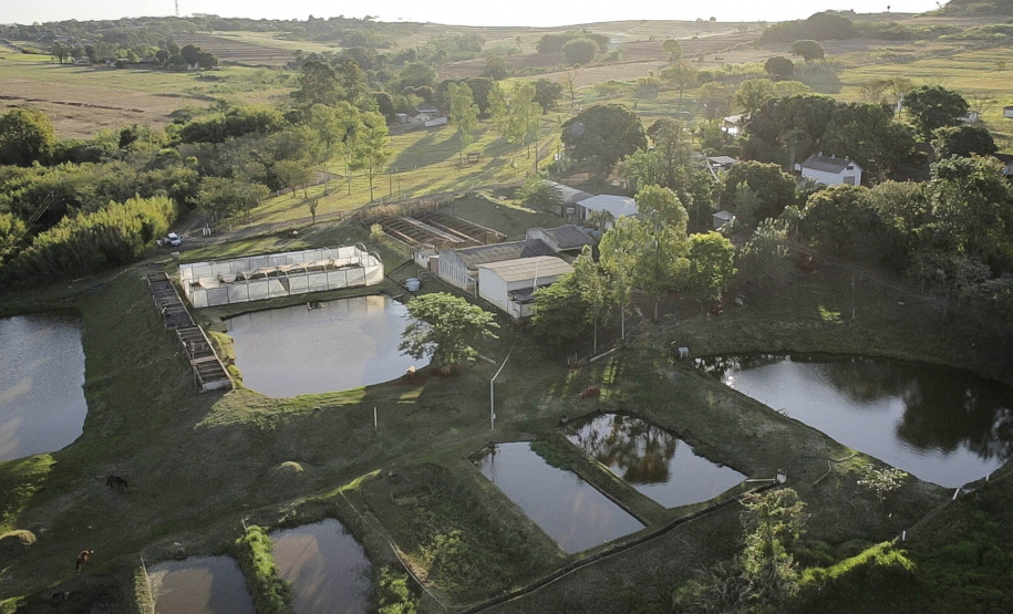 Especial Estação de Piscicultura - seu papel na pesquisa de excelência
