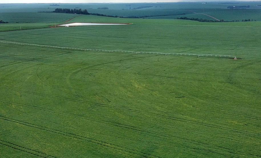 As condições climáticas favoráveis possibilitaram que os produtores paranaenses de milho encerrassem o plantio da primeira safra 2021/22 nesta semana, com a lavoura apresentando bom desenvolvimento. Esse é um dos assuntos abordados no Boletim de Conjuntura Agropecuária referente ao período de 05 a 11 de novembro. Foto: José Fernando Ogura/AEN