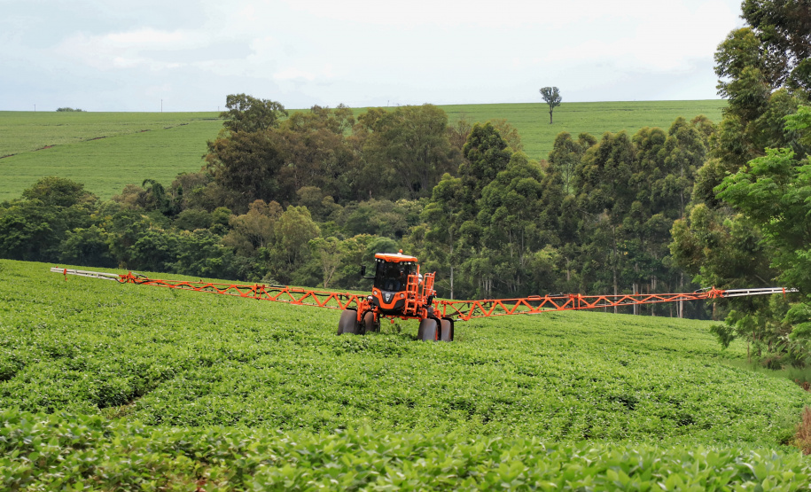 As condições climáticas favoráveis possibilitaram que os produtores paranaenses de milho encerrassem o plantio da primeira safra 2021/22 nesta semana, com a lavoura apresentando bom desenvolvimento. Esse é um dos assuntos abordados no Boletim de Conjuntura Agropecuária referente ao período de 05 a 11 de novembro. Foto: José Fernando Ogura/AEN