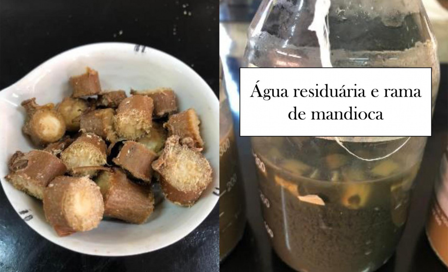 Projeto da UEL investe em energia limpa a partir da produção de hidrogênio e metano da fécula de mandioca. Foto: UEL