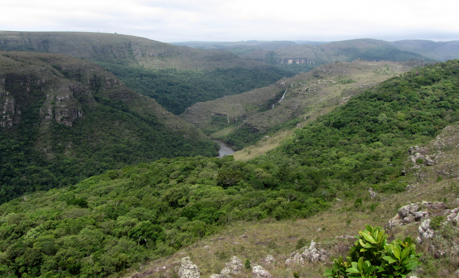 IAT cria padrão único para elaboração dos Planos de Manejo das RPPNs