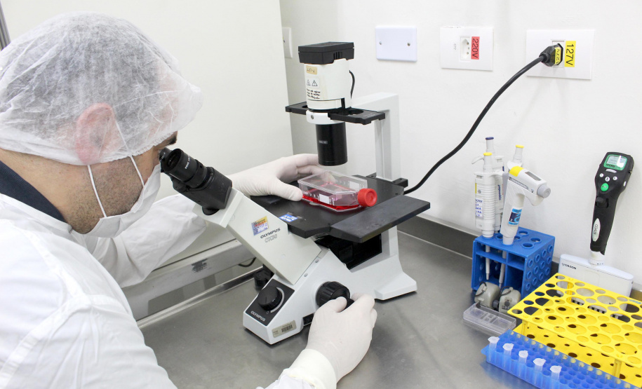 O Instituto de Tecnologia do Paraná (Tecpar) está com edital aberto para recebimentode propostas de empresas farmacêuticas interessadas em produzir nacionalmente avacina pentavalente, que protege contra difteria, tétano, coqueluche, hepatite B e pneumonia/meningite. - Curitiba, 24/11/2021 - Foto: Tecpar