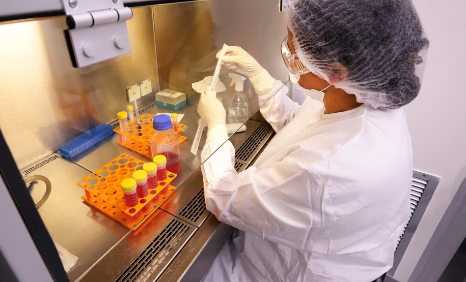 Tecpar lança agenda ESG com ações sociais, ambientais e de governança