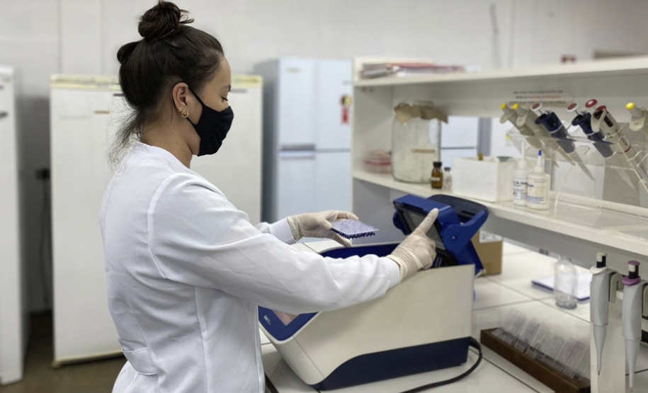 Atuação de bolsistas deverá contribuir para aumentar qualificação da pesquisa na UENP. Foto: UENP