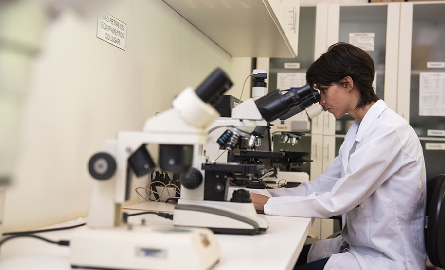 Atuação de bolsistas deverá contribuir para aumentar qualificação da pesquisa na UENP. Foto: UENP