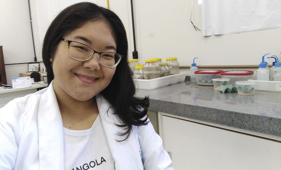 Atuação de bolsistas deverá contribuir para aumentar qualificação da pesquisa na UENP. Foto: UENP