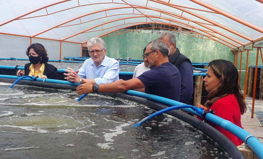 O secretário da Agricultura e do Abastecimento, Norberto Ortigara visita a Villa Peixes, em Curitiba. Foto:SEAB