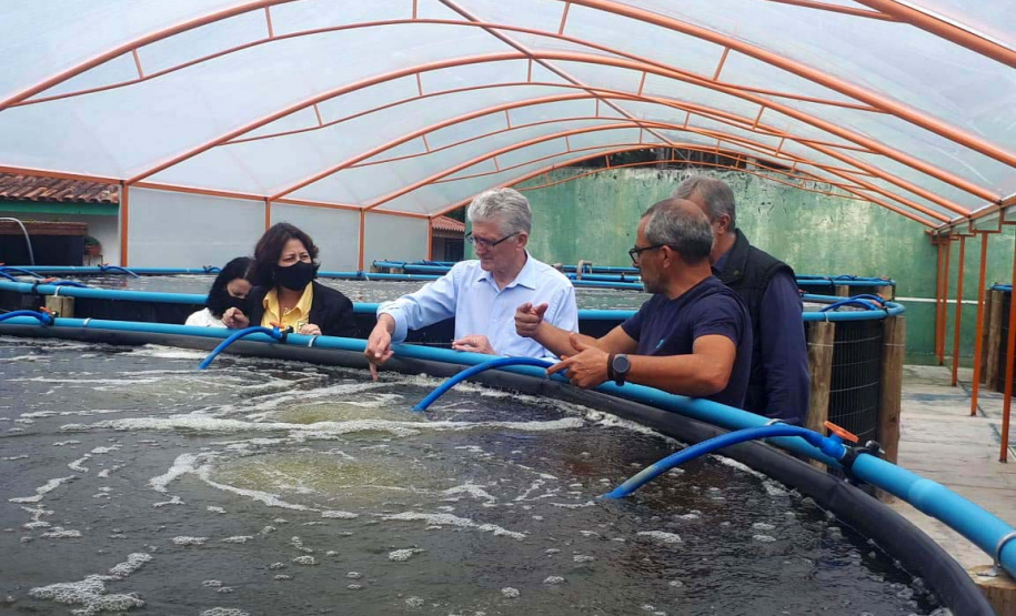O secretário da Agricultura e do Abastecimento, Norberto Ortigara visita a Villa Peixes, em Curitiba. Foto:SEAB