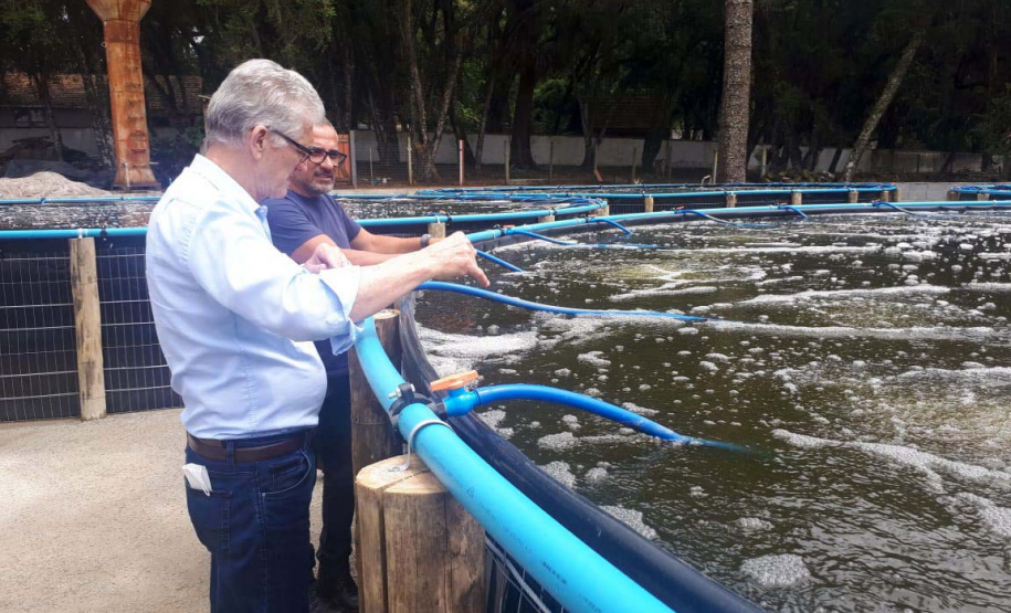 O secretário da Agricultura e do Abastecimento, Norberto Ortigara visita a Villa Peixes, em Curitiba. Foto:SEAB