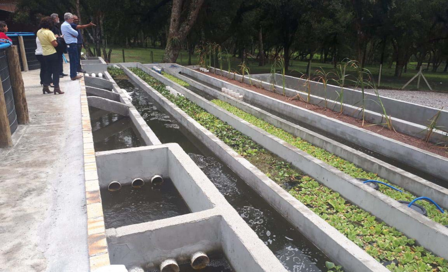 O secretário da Agricultura e do Abastecimento, Norberto Ortigara visita a Villa Peixes, em Curitiba. Foto:SEAB