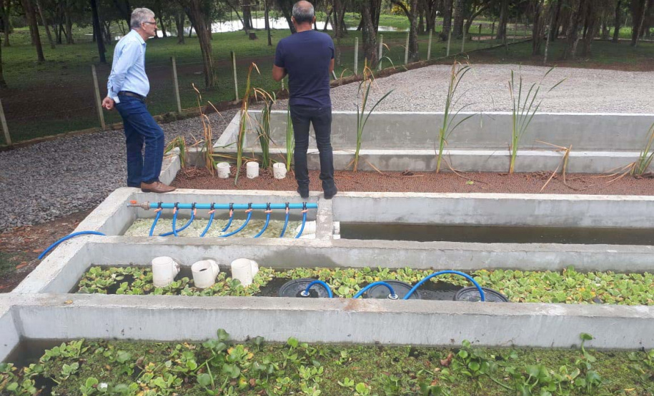O secretário da Agricultura e do Abastecimento, Norberto Ortigara visita a Villa Peixes, em Curitiba. Foto:SEAB