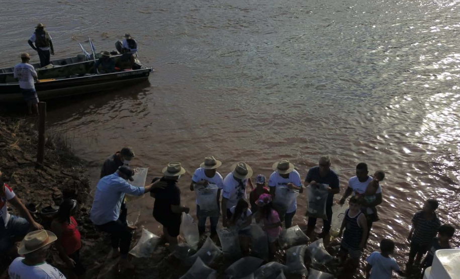 A soltura de 20 mil dourados e 200 mil lambaris no Reio Ivaí, em Mirador, no Noroeste, contou com a presença de 200 participantes do 20º Hally Fluvial SOS Rio Ivaí, neste final de semana. Os competidores foram recepcionados pelo secretário do Desenvolvimento Sustentável e do Turismo (Sedest), Márcio Nunes  -  Mirador, 14/11/2021 - Foto: Alessandro Vieira/Sedest