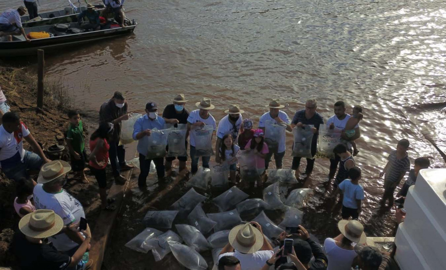 A soltura de 20 mil dourados e 200 mil lambaris no Reio Ivaí, em Mirador, no Noroeste, contou com a presença de 200 participantes do 20º Hally Fluvial SOS Rio Ivaí, neste final de semana. Os competidores foram recepcionados pelo secretário do Desenvolvimento Sustentável e do Turismo (Sedest), Márcio Nunes  -  Mirador, 14/11/2021 - Foto: Alessandro Vieira/Sedest