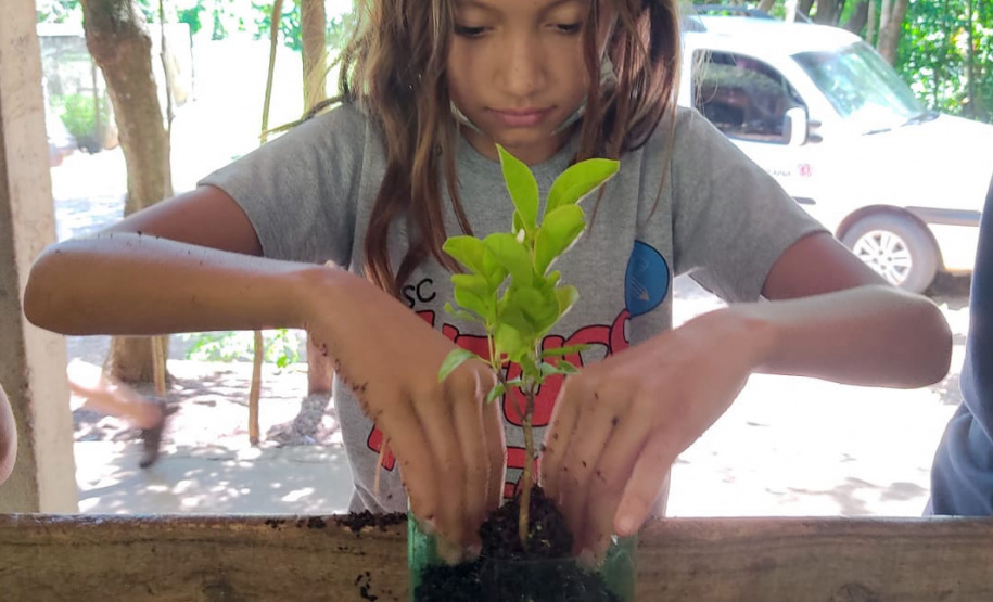 O Viveiro Florestal do Instituto Água e Terra (IAT) em Jacarezinho, no Norte Pioneiro do Estado, voltou a recepcionar estudantes pelo projeto de educação ambiental, nesta terça-feira (23). Ao todo, 34 alunos dos 4º e 5º anos do ensino fundamental da Escola Municipal Professora Ruth Pimentel Rocha tiveram a experiência de um dia no campo com atividades diferenciadas. - Jacarezinho, 23/11/2021 - Foto: IAT