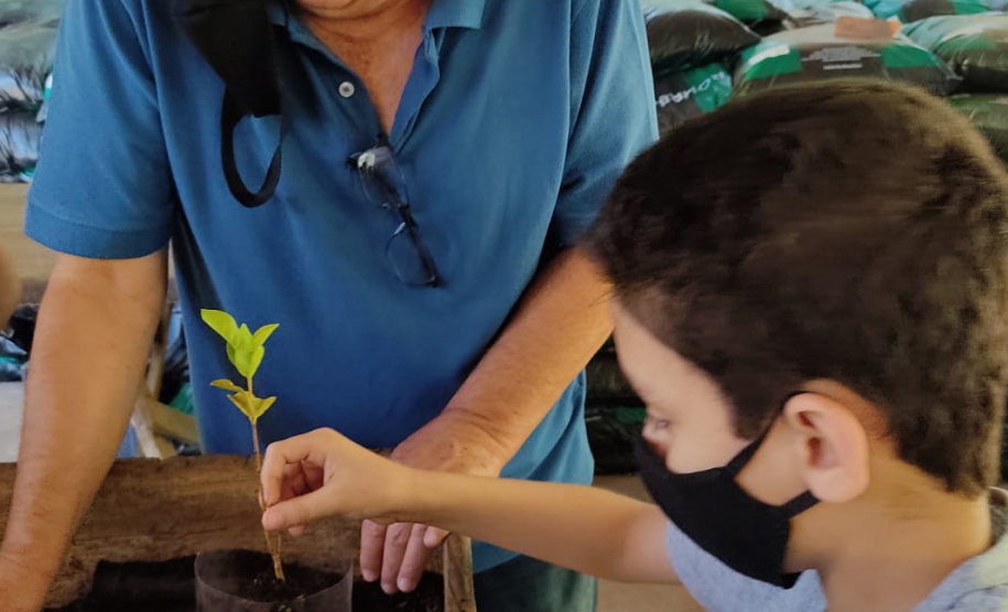 O Viveiro Florestal do Instituto Água e Terra (IAT) em Jacarezinho, no Norte Pioneiro do Estado, voltou a recepcionar estudantes pelo projeto de educação ambiental, nesta terça-feira (23). Ao todo, 34 alunos dos 4º e 5º anos do ensino fundamental da Escola Municipal Professora Ruth Pimentel Rocha tiveram a experiência de um dia no campo com atividades diferenciadas. - Jacarezinho, 23/11/2021 - Foto: IAT