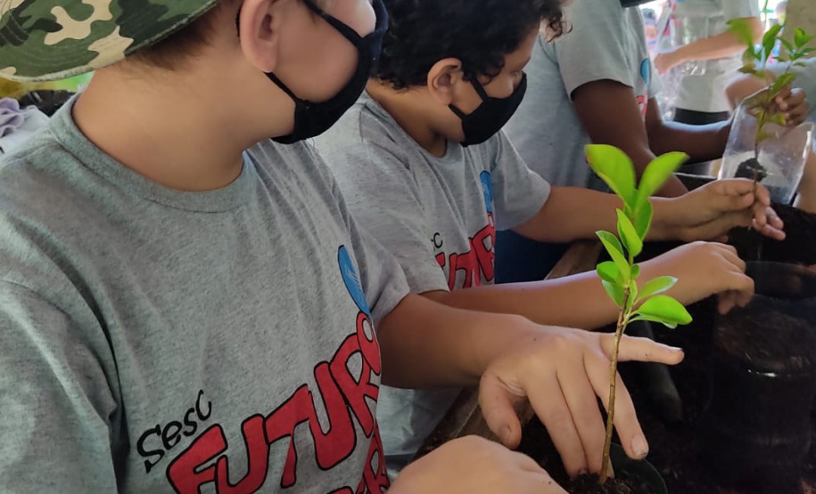 O Viveiro Florestal do Instituto Água e Terra (IAT) em Jacarezinho, no Norte Pioneiro do Estado, voltou a recepcionar estudantes pelo projeto de educação ambiental, nesta terça-feira (23). Ao todo, 34 alunos dos 4º e 5º anos do ensino fundamental da Escola Municipal Professora Ruth Pimentel Rocha tiveram a experiência de um dia no campo com atividades diferenciadas. - Jacarezinho, 23/11/2021 - Foto: IAT
